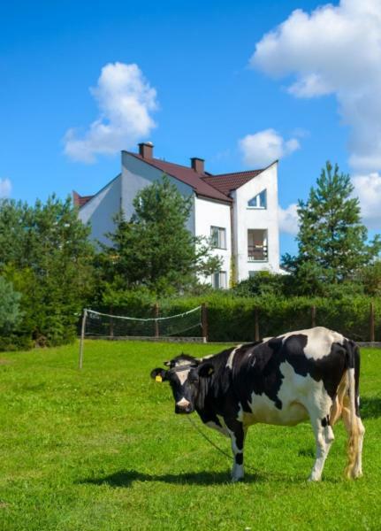 Villa Gospodarstwo Agroturystyczne Jacwing Giby Exterior foto